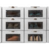 Caja Organizadora Zapatos - 12 U (h/ T.46) Eco M.env.2018