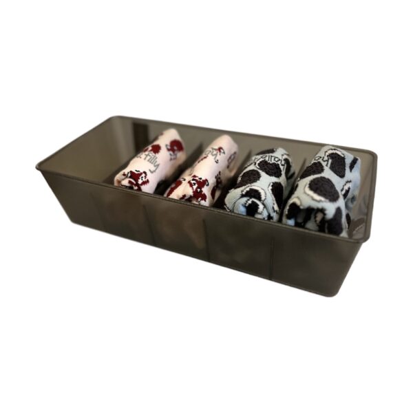 Contenedor organizador de ropa interior