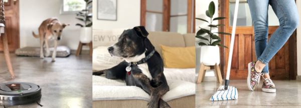 TU CASA ENORDEN Y LIMPIA CON MASCOTAS, ¡ES POSIBLE! [CURSO ONLINE]